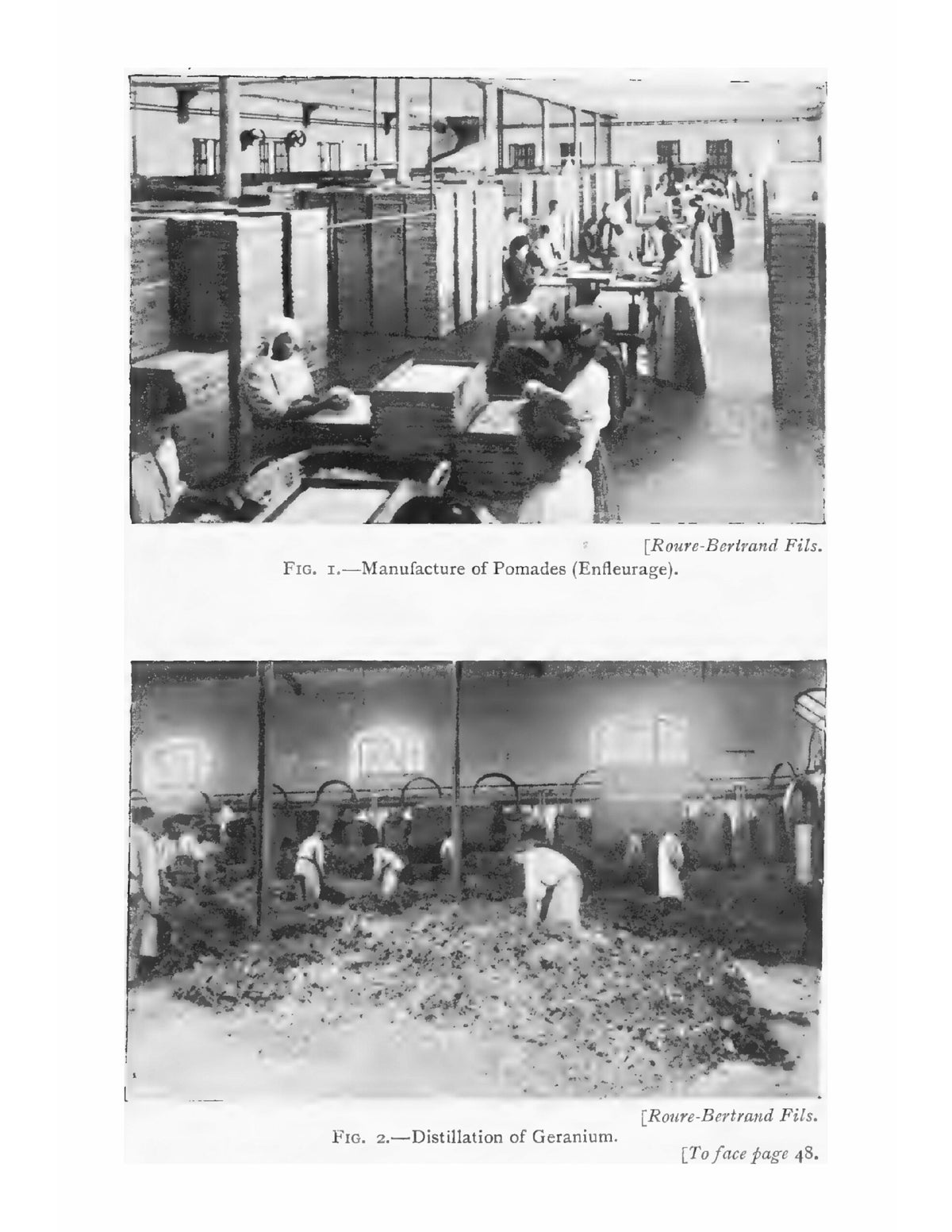 Perfumes and Cosmetics - Page 63