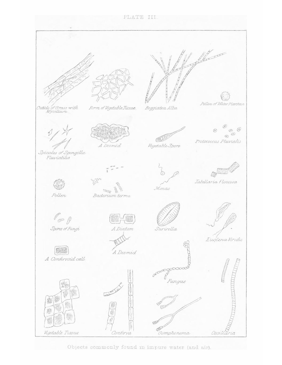 Public Health Laboratory Work - Page 27
