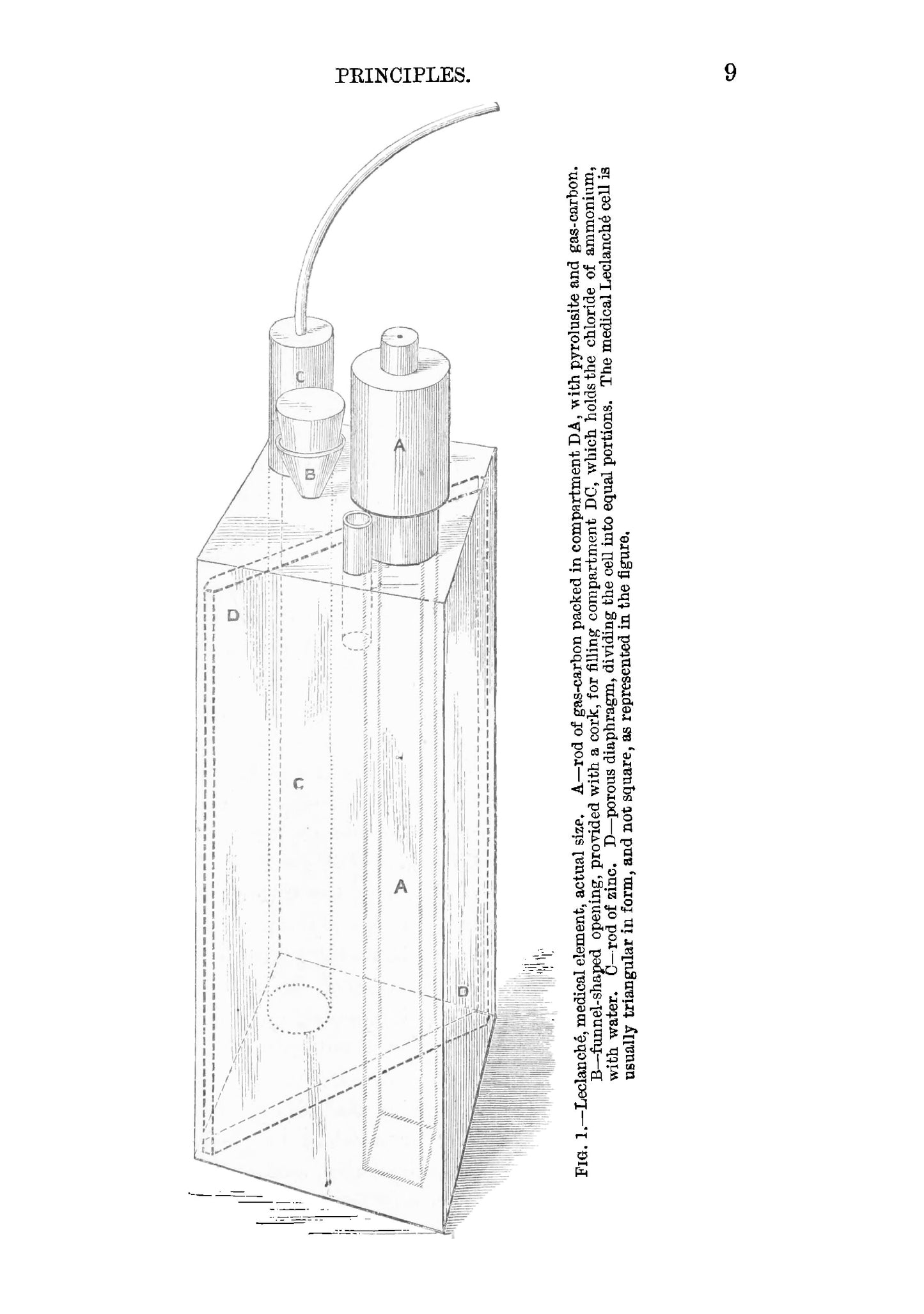 A Text-Book of Electricity in Medicine and Surgery - Page 23