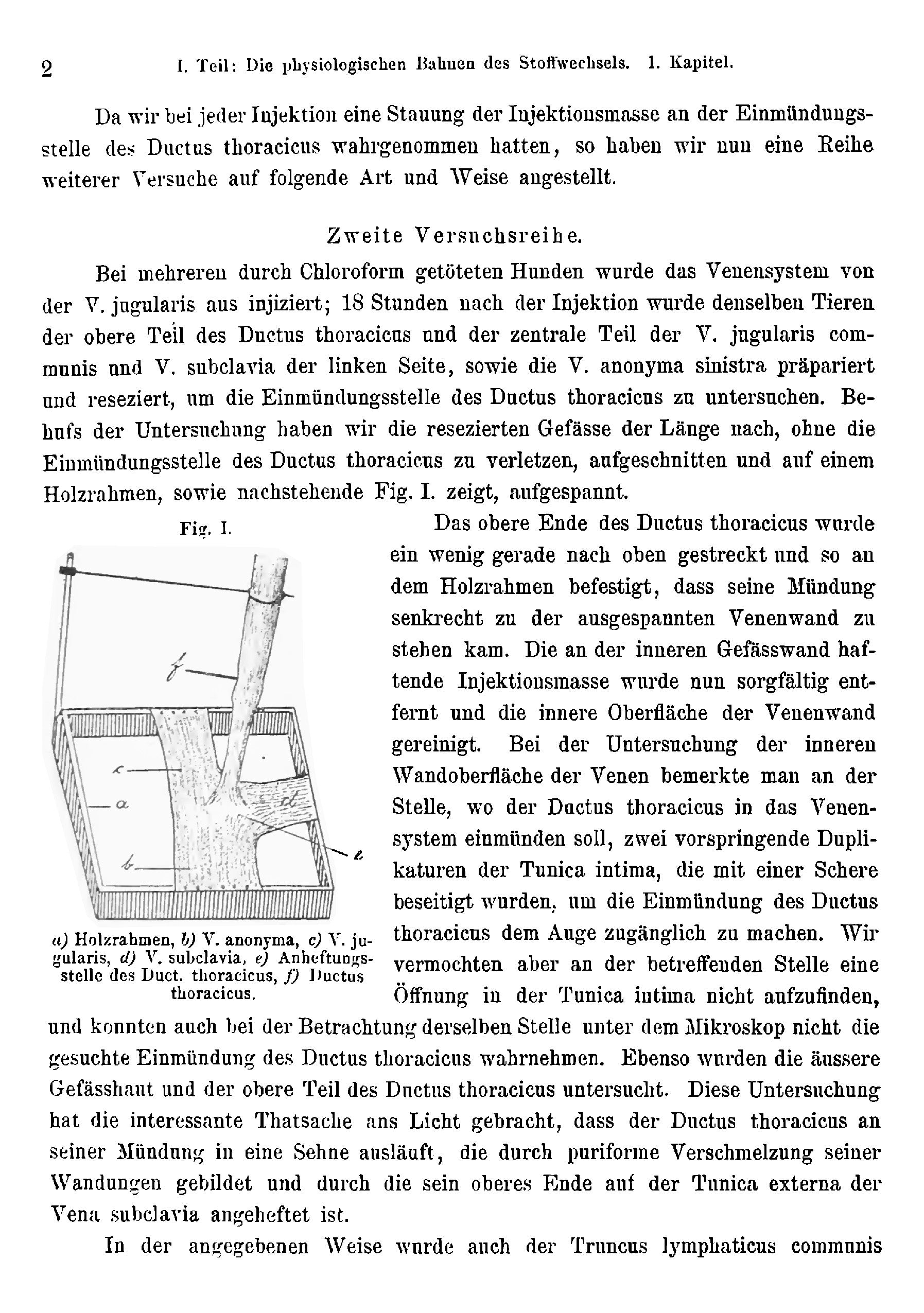 Anregung zur Reform der Physiologie des Menschen - Page 20